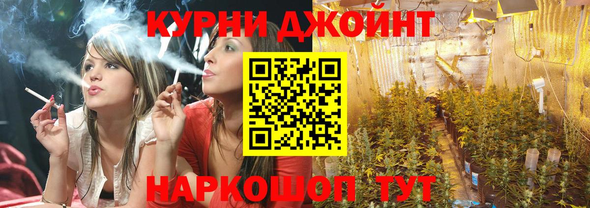 Изобильный  Бошки Шишки White Widow  Вход с VPN  Шишки марихуана марихуана 